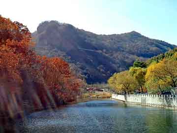 澳门二四六天天彩图库，毛岸青 精神病